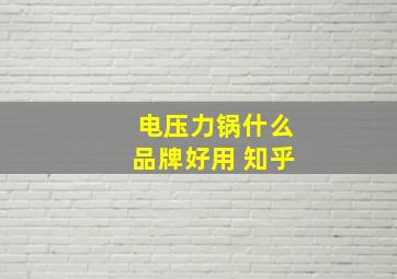 电压力锅什么品牌好用 知乎